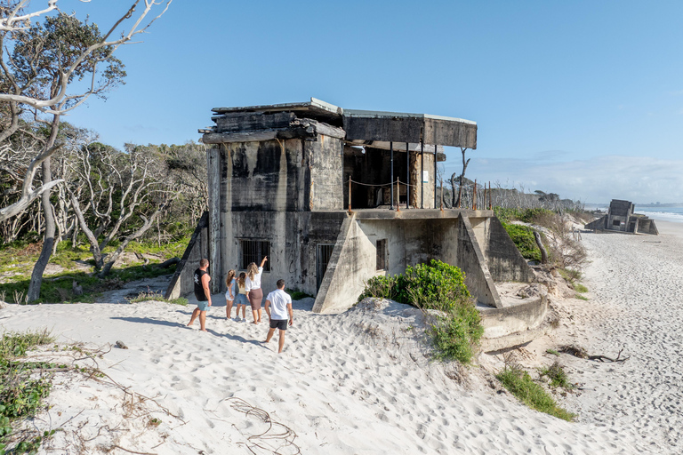 Bribie Island: Sea to Table 4WD, Kayak, & Seafood Lunch Tour