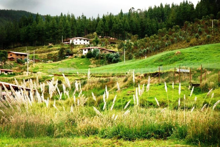 Z Cajamarca: Farma Porcón i wycieczka po warsztatach Huambocancha