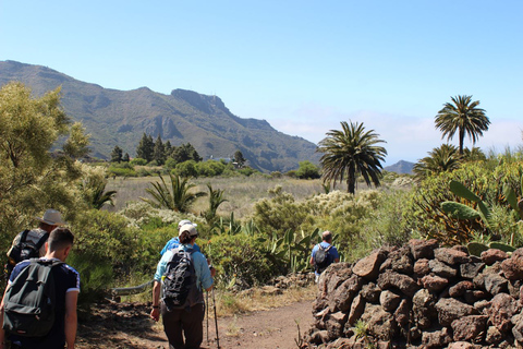 Tenerife : Camino Real hike