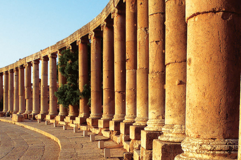 Escursione a Jerash e al Castello di AjlounEscursione di un giorno a Jerash e al Castello di Ajloun