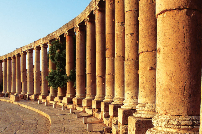 Escursione a Jerash e al Castello di AjlounEscursione di un giorno a Jerash e al Castello di Ajloun