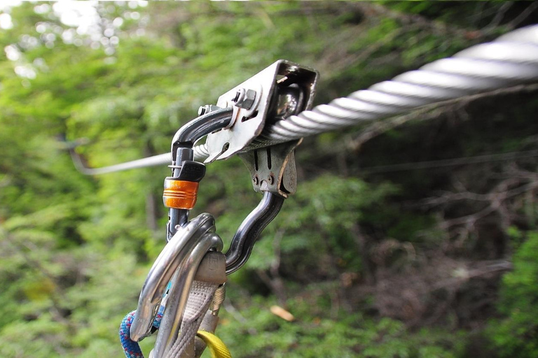 Canopy Half-Day Tour in Bariloche Canopy Half-Day Tour in Bariloche - Morning Departure