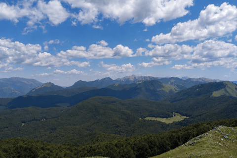 Pescasseroli from above: Great Maple Tree Guided Hike