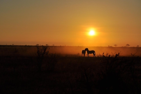 Nocne safari do Tsavo East z MombasyOpcja 3 dni i 2 noce