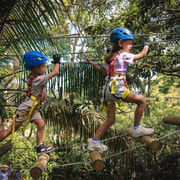 Ourimbah: Central Coast Junior Tree Ropes Course