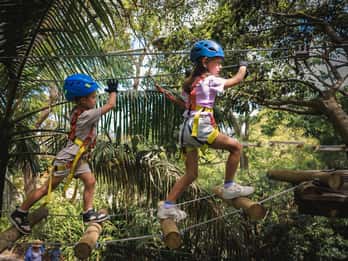 Ourimbah: Central Coast Junior Tree Ropes Course