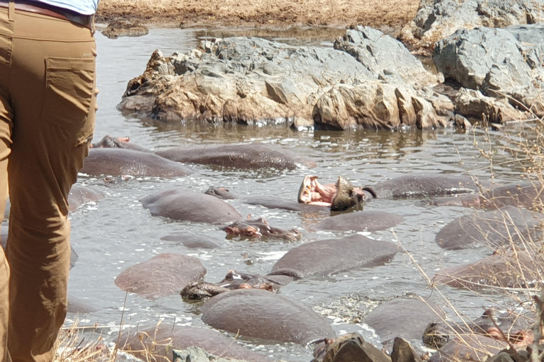 Tanzania: Safari di lusso di 6 giorni a Serengeti e Ngorongoro