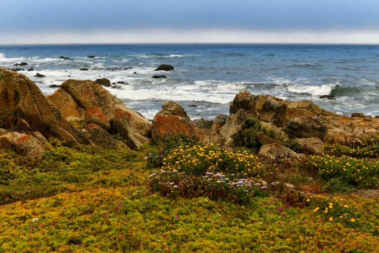 La beauté de la côte : La PCH et la visite audioguide de 17 miles
