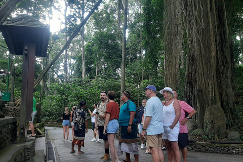 Ubud: foresta delle scimmie, terrazzamenti di riso e cascata