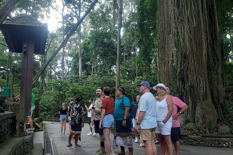 Ubud: foresta delle scimmie, terrazzamenti di riso e cascata