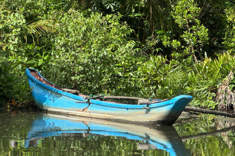 Bentota/Beruwala: Galle Fort, Koggala Lake & Kayaking Tour