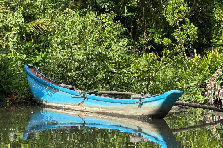 Bentota/Beruwala: Galle Fort, Koggala Lake & Kayaking Tour