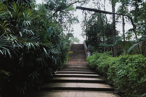 Chiang Mai après le crépuscule : Visite du Doi Suthep et du Wat Umong au crépuscule