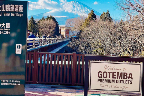 Tóquio: Viagem de 1 dia com visita privada ao Monte Fuji e Hakone