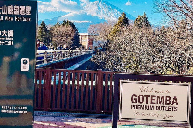 Tóquio: Viagem de 1 dia com visita privada ao Monte Fuji e Hakone