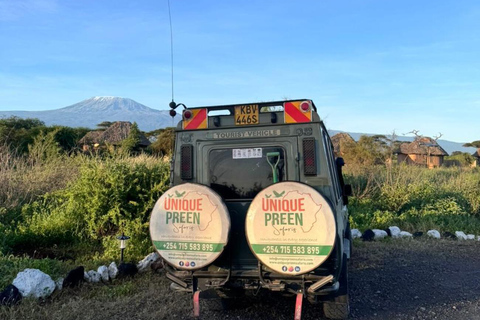 Nairobi: 2-Day Amboseli National Park Safari with Meals