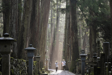 Sacred Koyasan: Meditation in Sanctuary to Purification