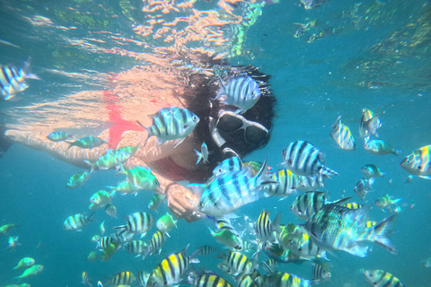 5 Geheime Gili Boottocht &amp; Snorkelen in Zuidwest Lombok