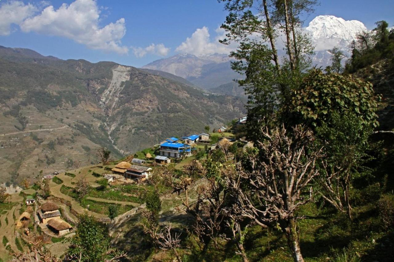Dhampus Village Tour from Pokhara with Jeep