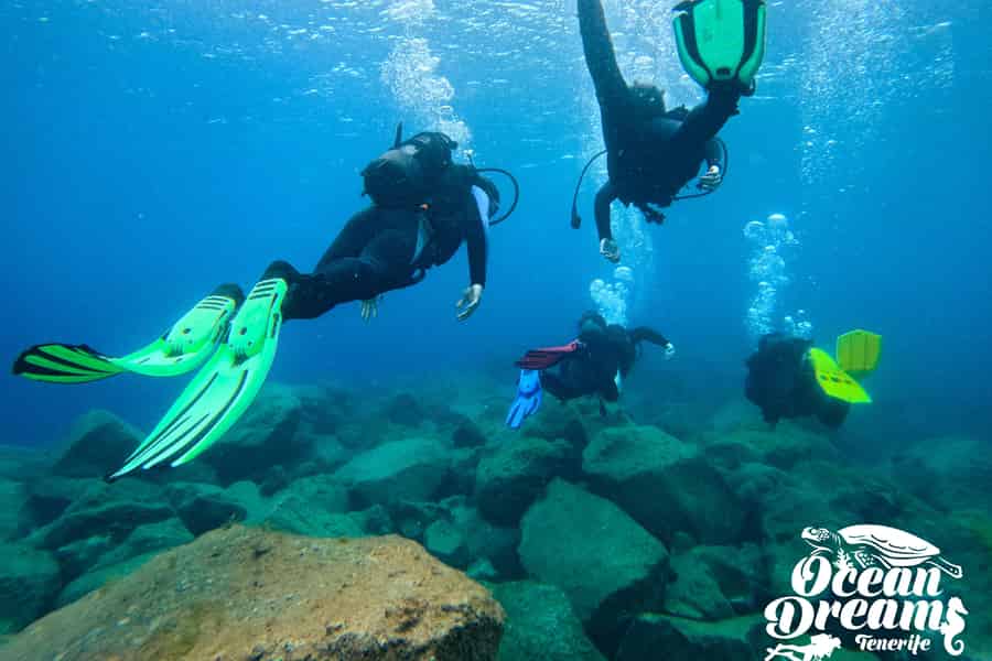 Teneriffa: Gerätetauchen für Anfänger in einer Kleingruppe. Foto: GetYourGuide