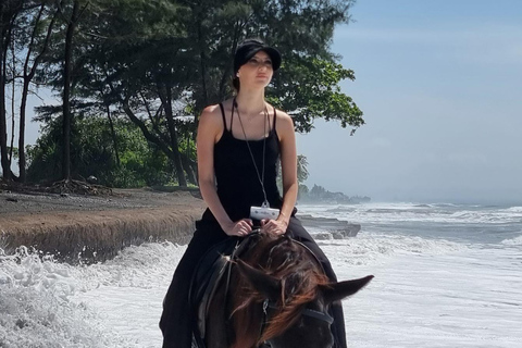 Bali: Horse Riding & Turtle Release Experience at Saba Beach Exclude: (not included horse riding tickets, lunch expense)