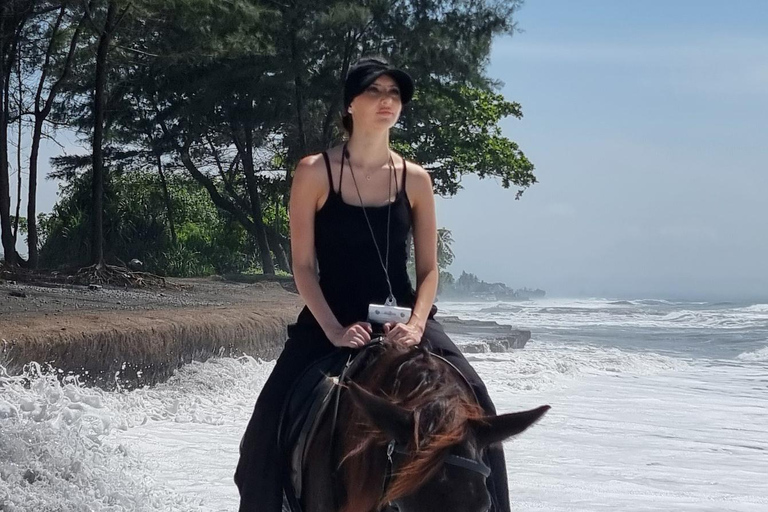 Bali: Horse Riding & Turtle Release Experience at Saba Beach Exclude: (not included horse riding tickets, lunch expense)