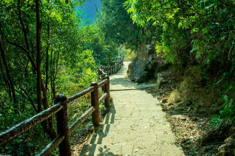 Trilhas Verdes de Shillong: Experiência de caminhada guiada com guia localTrilhas verdes de Shillong: experiência de trekking guiada com guia local