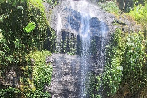 Bali: Tegenungan Waterfall, Ubud, and Rice Fields Tour