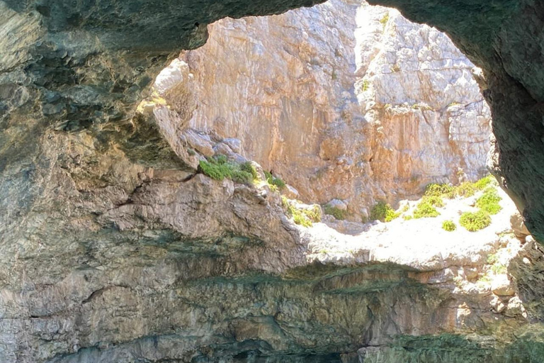 Marettimo: Island Speedboat Tour with Cave Visits & Swimming