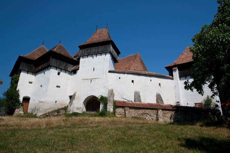 Saxon Villages Tour: Viscri, Rupea Fortress, Criț & Saschiz