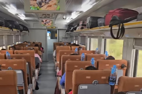 Sansibar: 3-tägige Mikumi-Nationalpark-Safari mit dem SGR-Zug