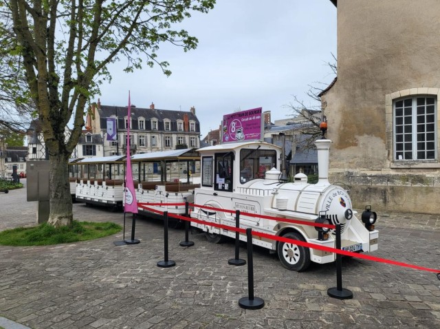Visit Touristic little train excursion in Vierzon, France