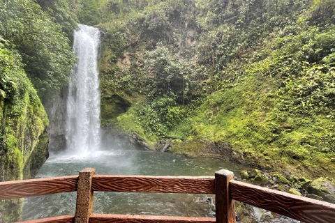 Depuis San Jose : Visite guidée d'une journée des jardins de la cascade de La Paz