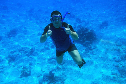 Hurghada: Dive Experience for Beginners or Certified Divers Full-Day Scuba Diving for Certified Divers