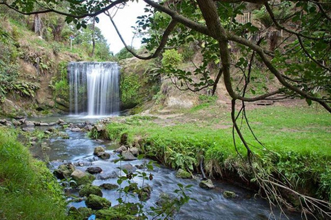 Tour delle cascate di Auckland