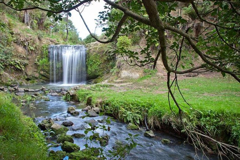 Visite des chutes d&#039;eau d&#039;Auckland