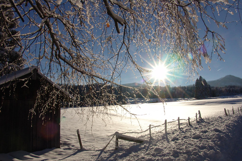 Caminhada com raquetes de neve em Allgäu