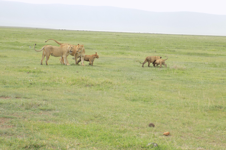 4-Day Classic Wildlife & Cultural