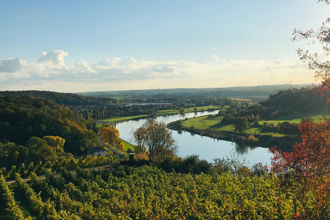 Dresden: Boat Cruise with Wine Tasting and Snacks