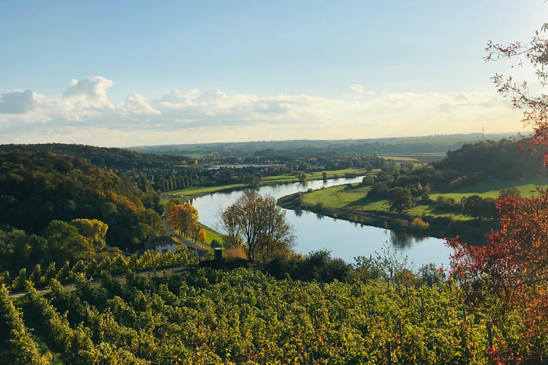 Dresden: Boat Cruise with Wine Tasting and Snacks