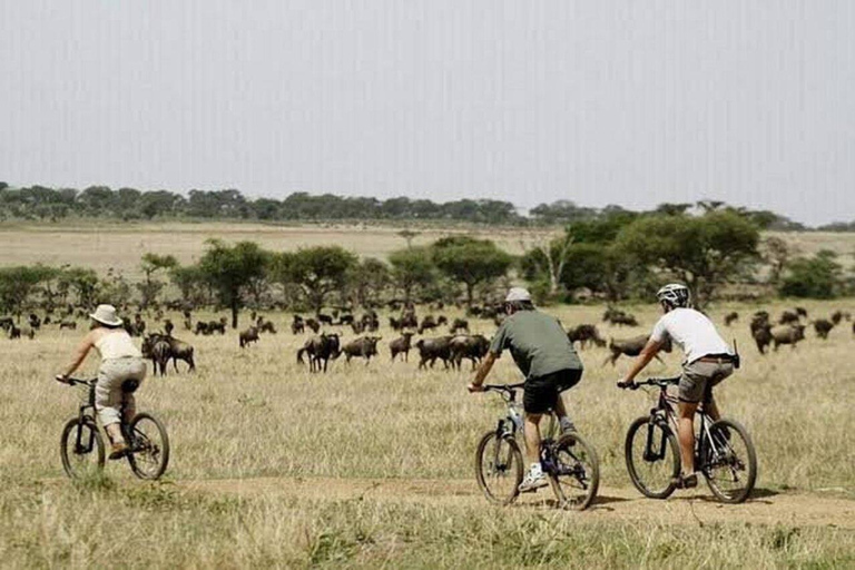 Kisumu: Urban Art Bicycle Safari Tour