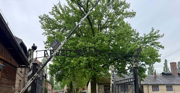From Krakow: Auschwitz-Birkenau Tour
