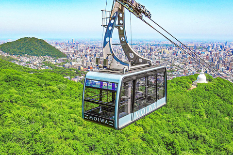 Sapporo:Daibutsu Buddha,White Lover Park&Jozankei Onsen Tour Departing from Sapporo TV Tower