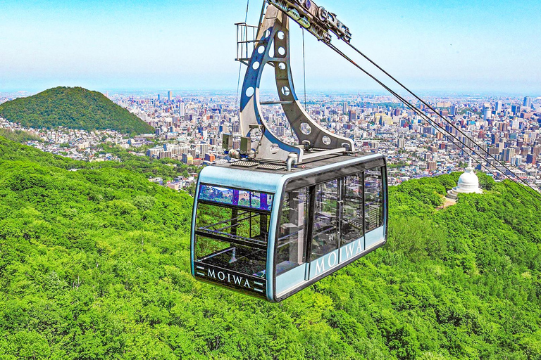 Sapporo:Daibutsu Buddha,White Lover Park&Jozankei Onsen Tour Departing from Sapporo TV Tower