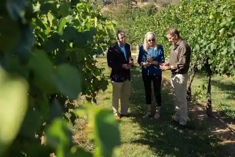 Orange: Explore with Swinging Bridge - Guided Tour & Tasting
