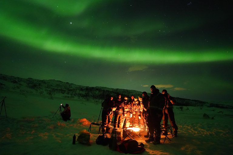 Tromsø: Northern Lights Tour – Unlimited Chase & Free Photos 6-8 Hours, Aurora chase, Comfortable bus, Photos included