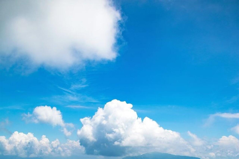 Kandy: Sir James Taylor’s Loolkandura Tea Heritage Hike