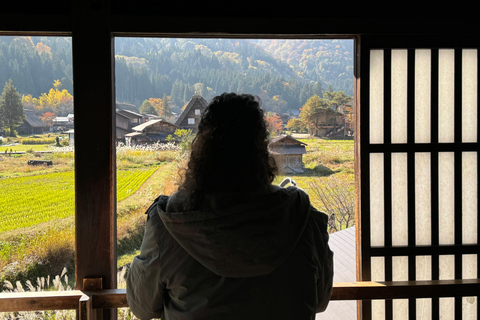 Gifu: Shirakawa-go Tour with a Private Guide 4-Hour Tour