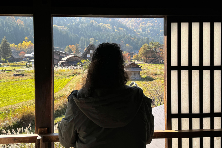 Gifu: Shirakawa-go Tour with a Private Guide 4-Hour Tour