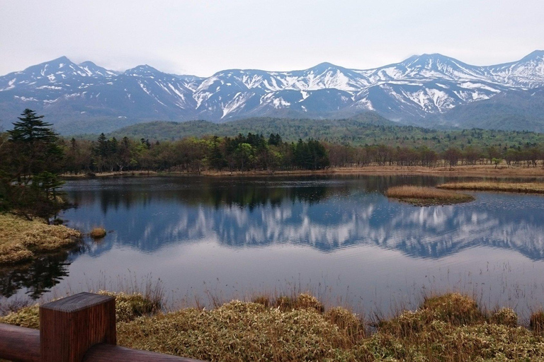 Shiretoko & Kiyosato: Five Lakes Full-Day Nature Tour